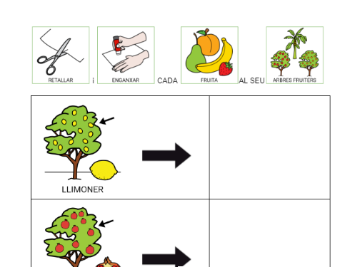 Arbres fruiters i la seva fruita